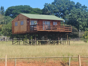 Hoofbeats Cabins Whiteriver